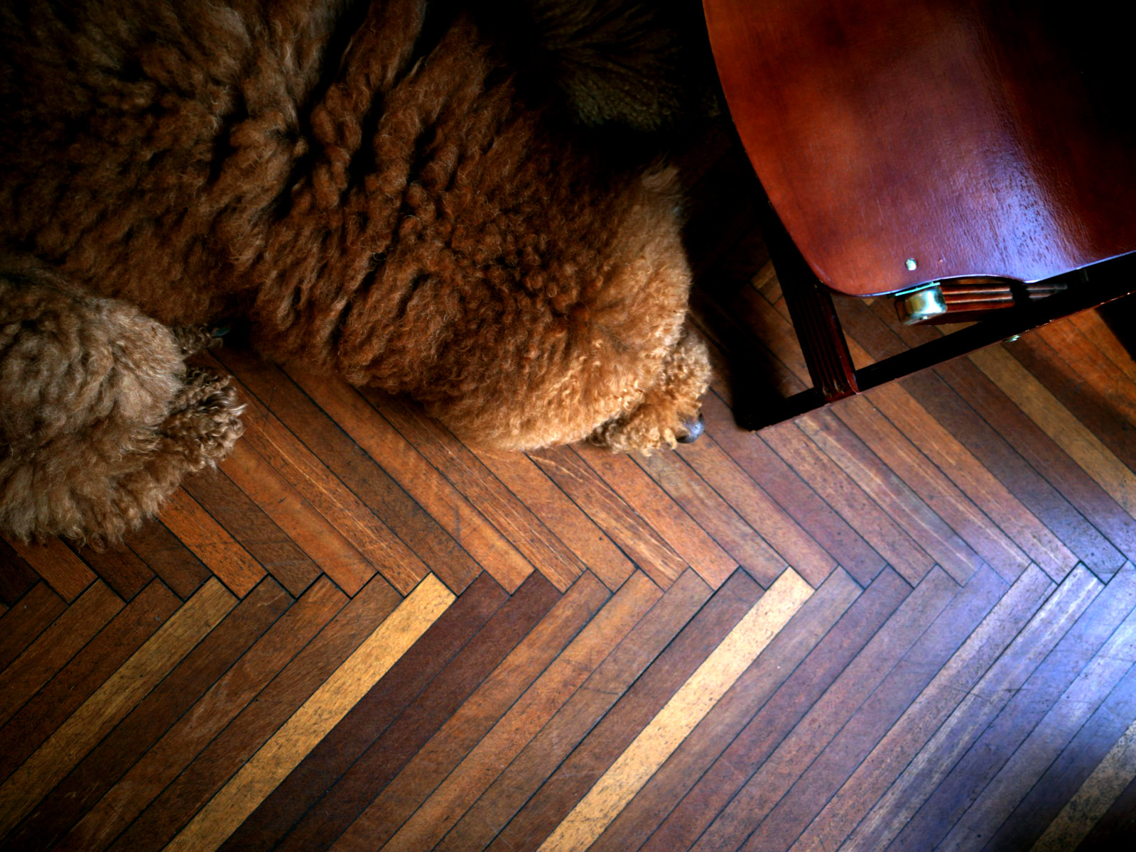 Rich walnut